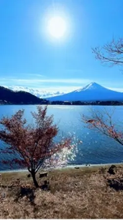 年賀