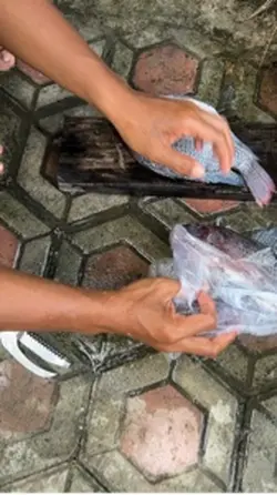 Membersihkan ikan