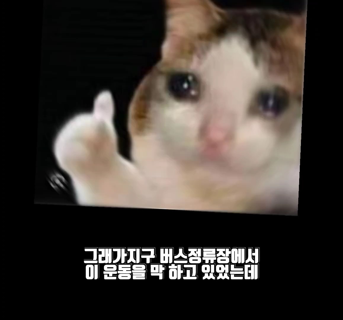 홍 박사님을 아세요