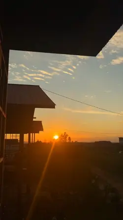 sunset vibes 2019