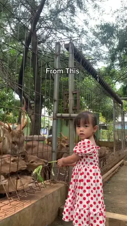 from this vs to this