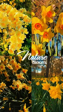 Nature bloom