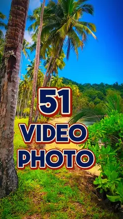 51 new template 2025