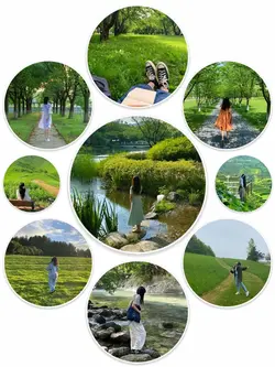 9Pic Frame Aesthetic