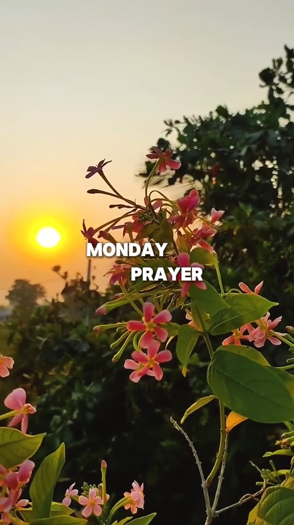 Oración del lunes