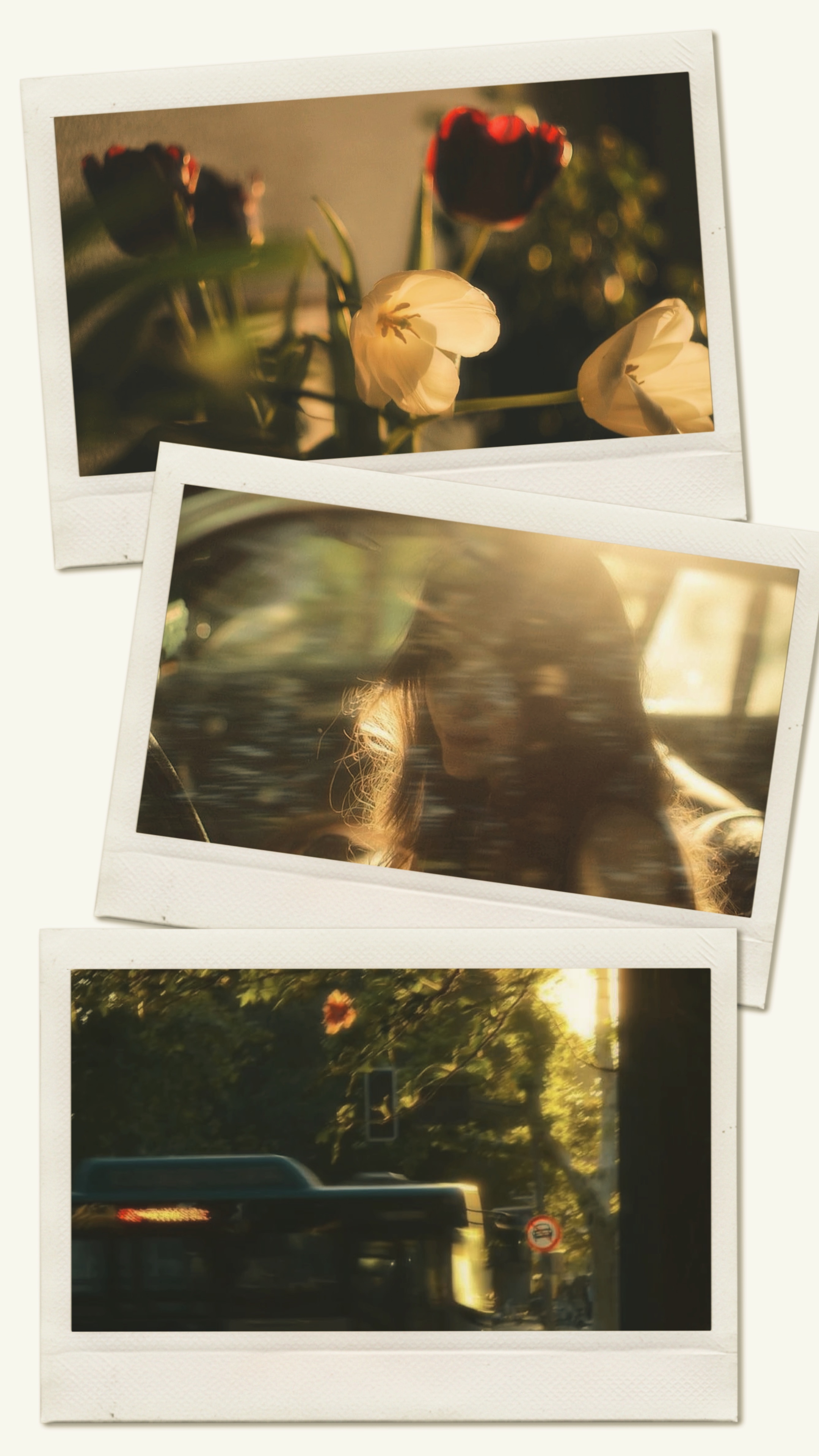 3 frame photo 