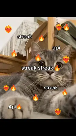 streak api