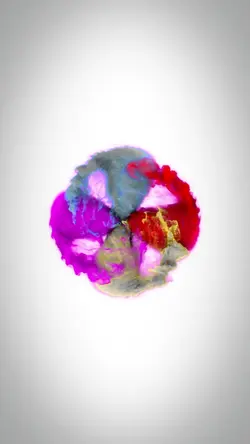 spin portrait ⁴