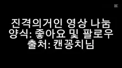 진격의거인 영상 나눔