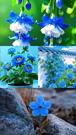 FLOWERS VLOG