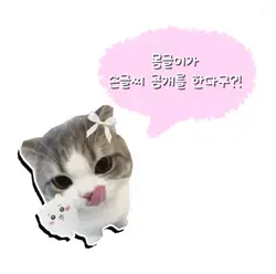 손글씨 공개,,ㅜ