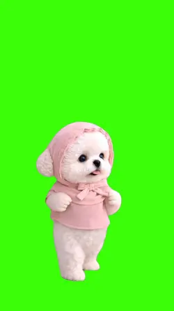 Dog/Cachorro.