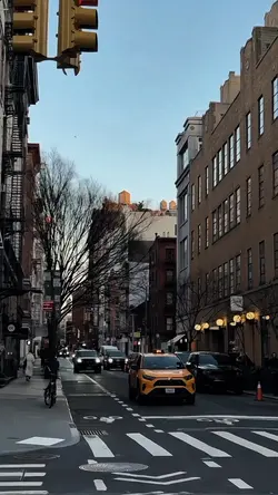 Cityvibes cooledit