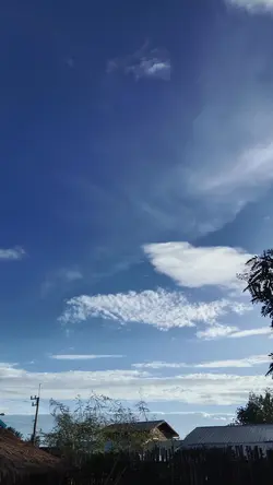 ดนตรี