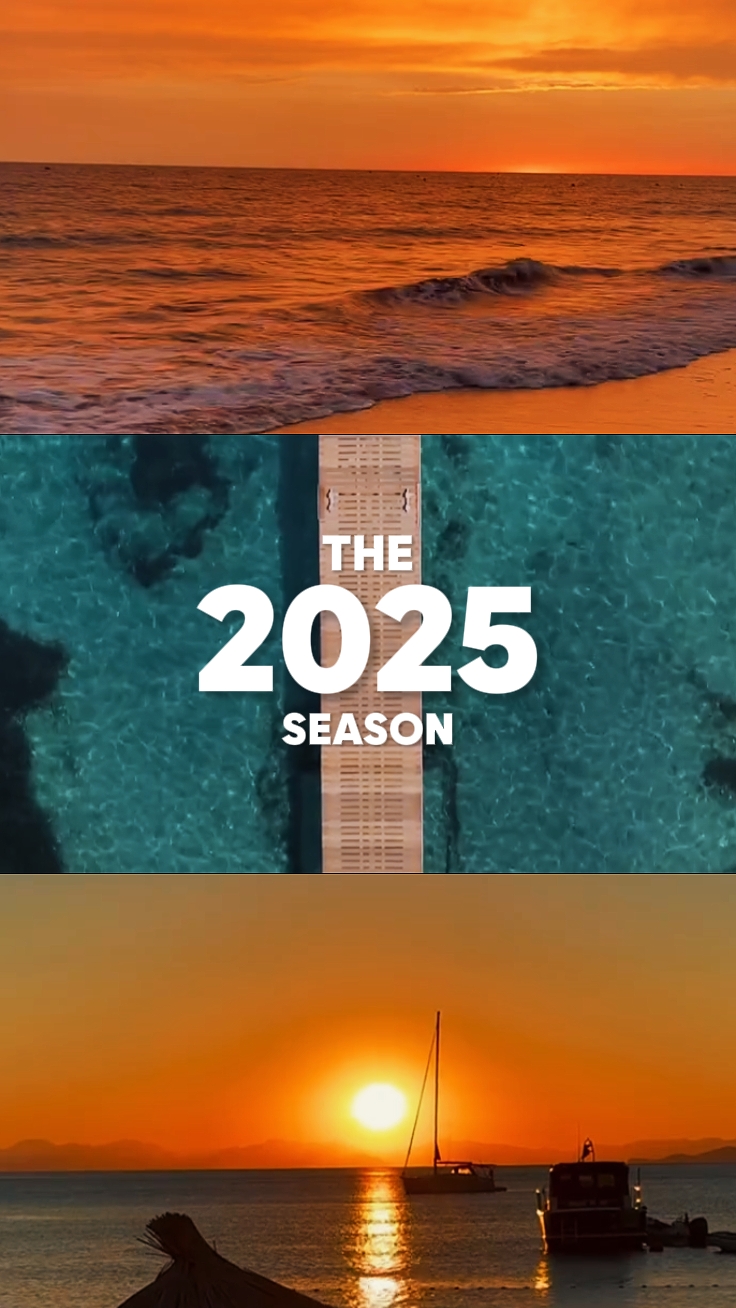 Volcado 2025