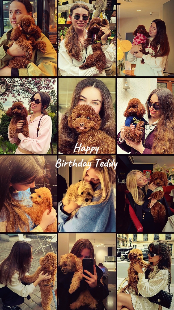 Happy Birthday Teddy