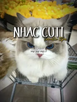 mẫu cuti ít ảnh