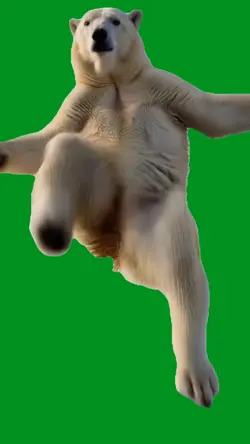 dubstep bear