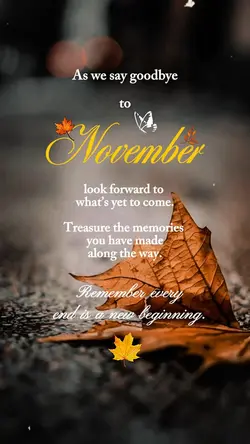 Goodbye November 🍂
