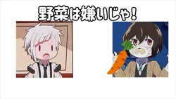 野菜は嫌いじゃｯ！