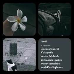 เจิดจรัส โทนฟิล์ม