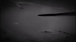 紹介テンプレート