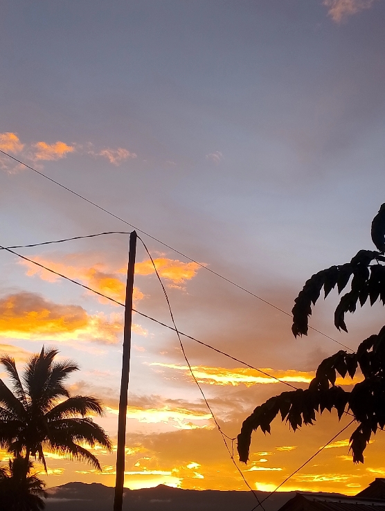 Nice view sunsets 