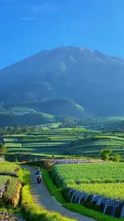 pemandangan desa