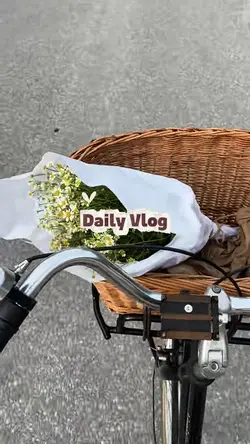 Daily Vlog