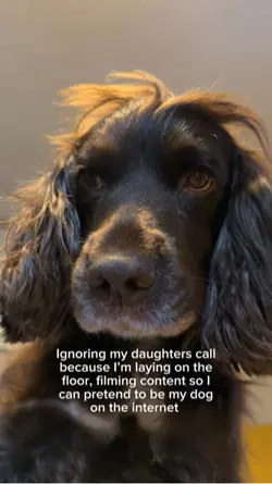 Dog mama life