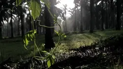 cinematic waktu pagi