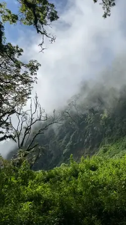 hutan vlog