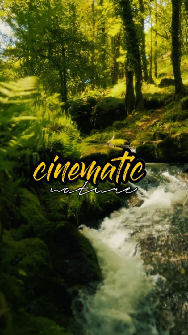 kalikasan ng cinematic 