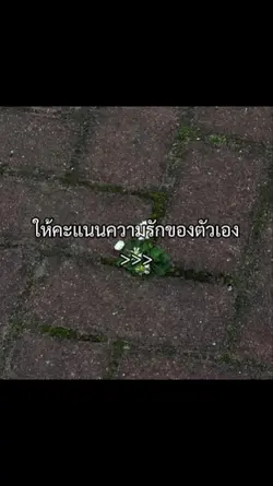 คะแนนความรักตัวเอง
