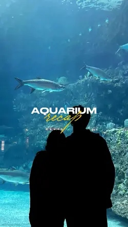 aquarium recap