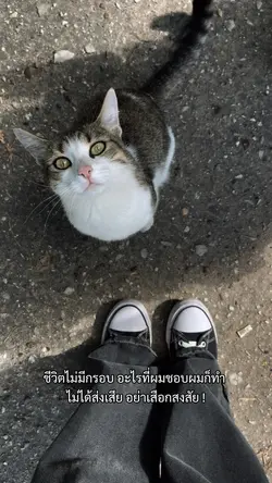 ชีวิตไม่มีกรอบ