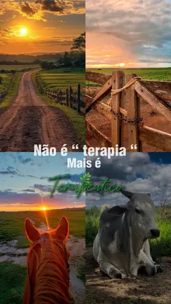 Minha roça
