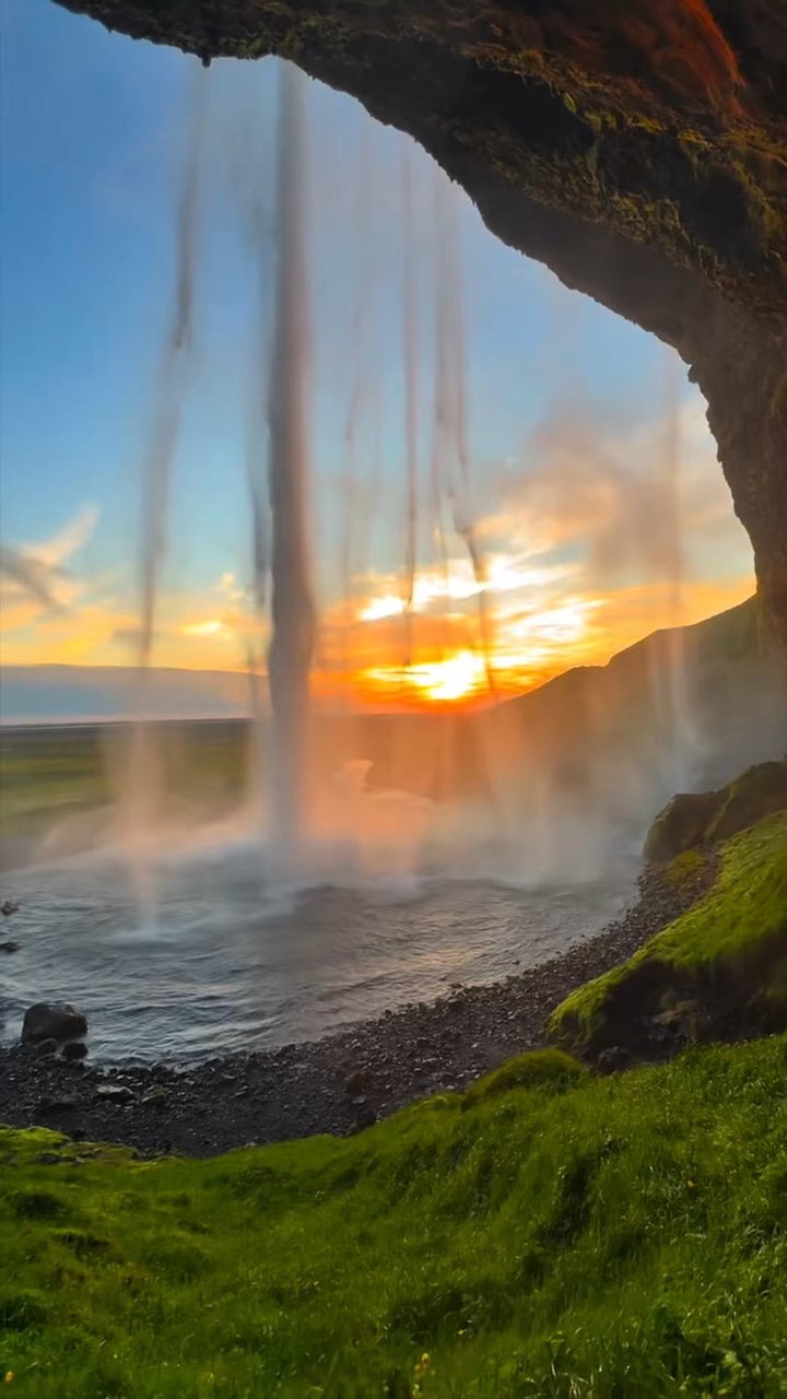 7 video wild nature