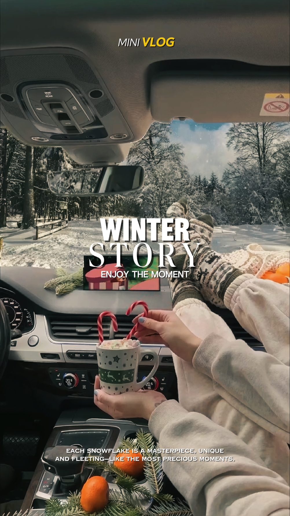 WINTER STORY
