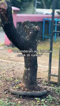 STANDARAN AJA LAH