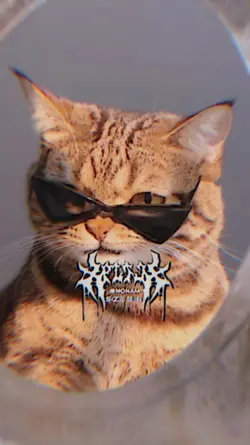 2รูป เท่ๆ