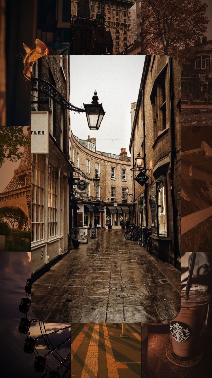 Cover Picture
