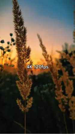 144p to 4K 120fps