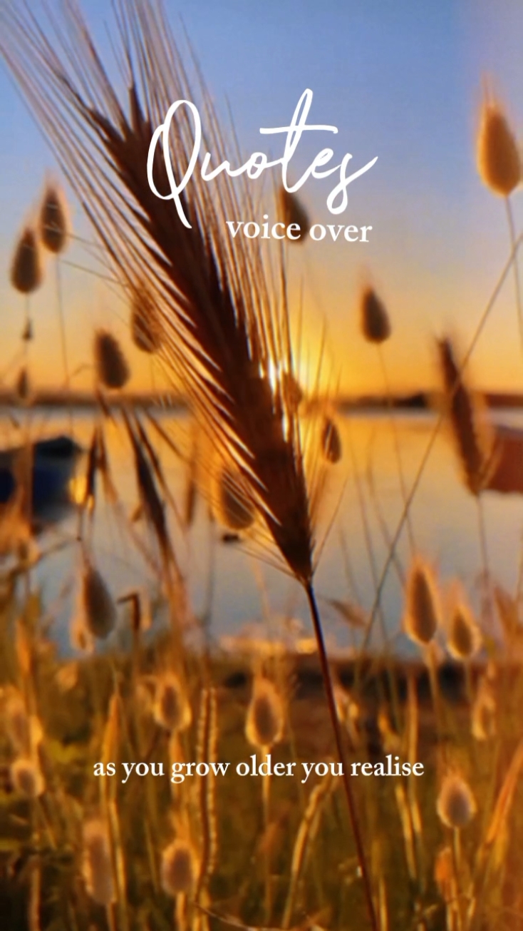 Voice over