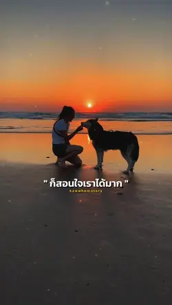 บางทีหมาตัวนึง