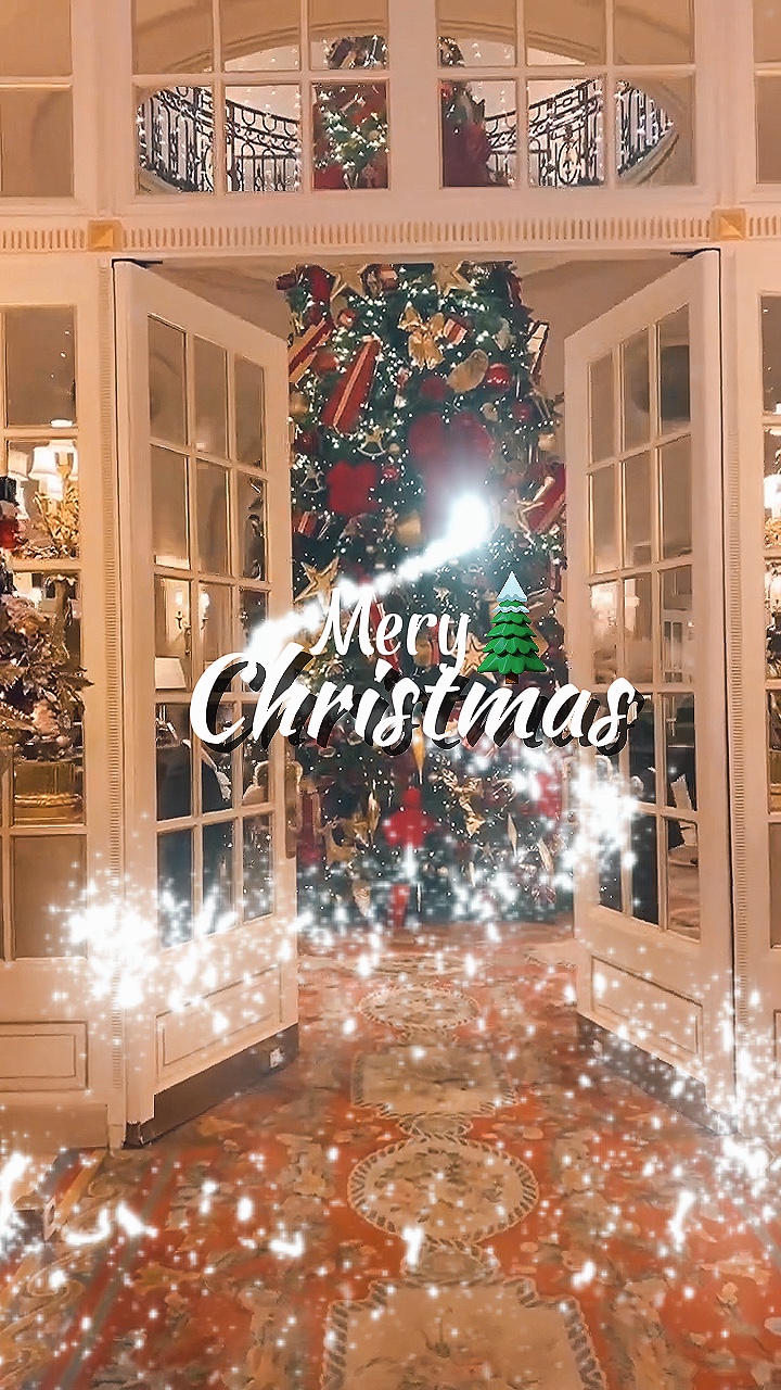 Feliz Natal🎄