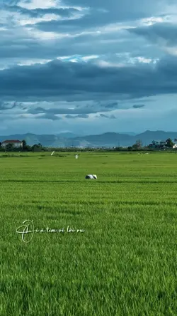 Ơi à tìm về lời ru..