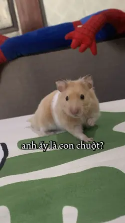 anh ấy là chuột?