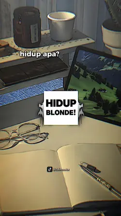 no mirror hidup apa?