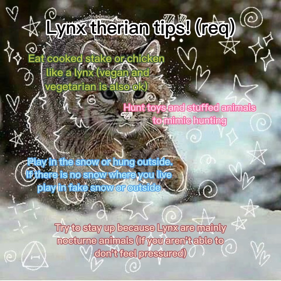 Lynx therian tips 